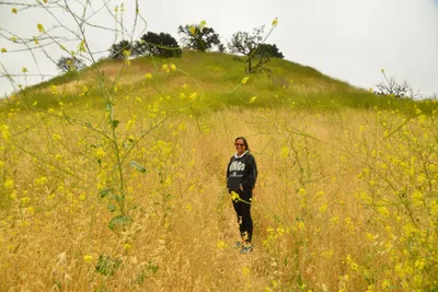 DSC_6484 (Large).JPG